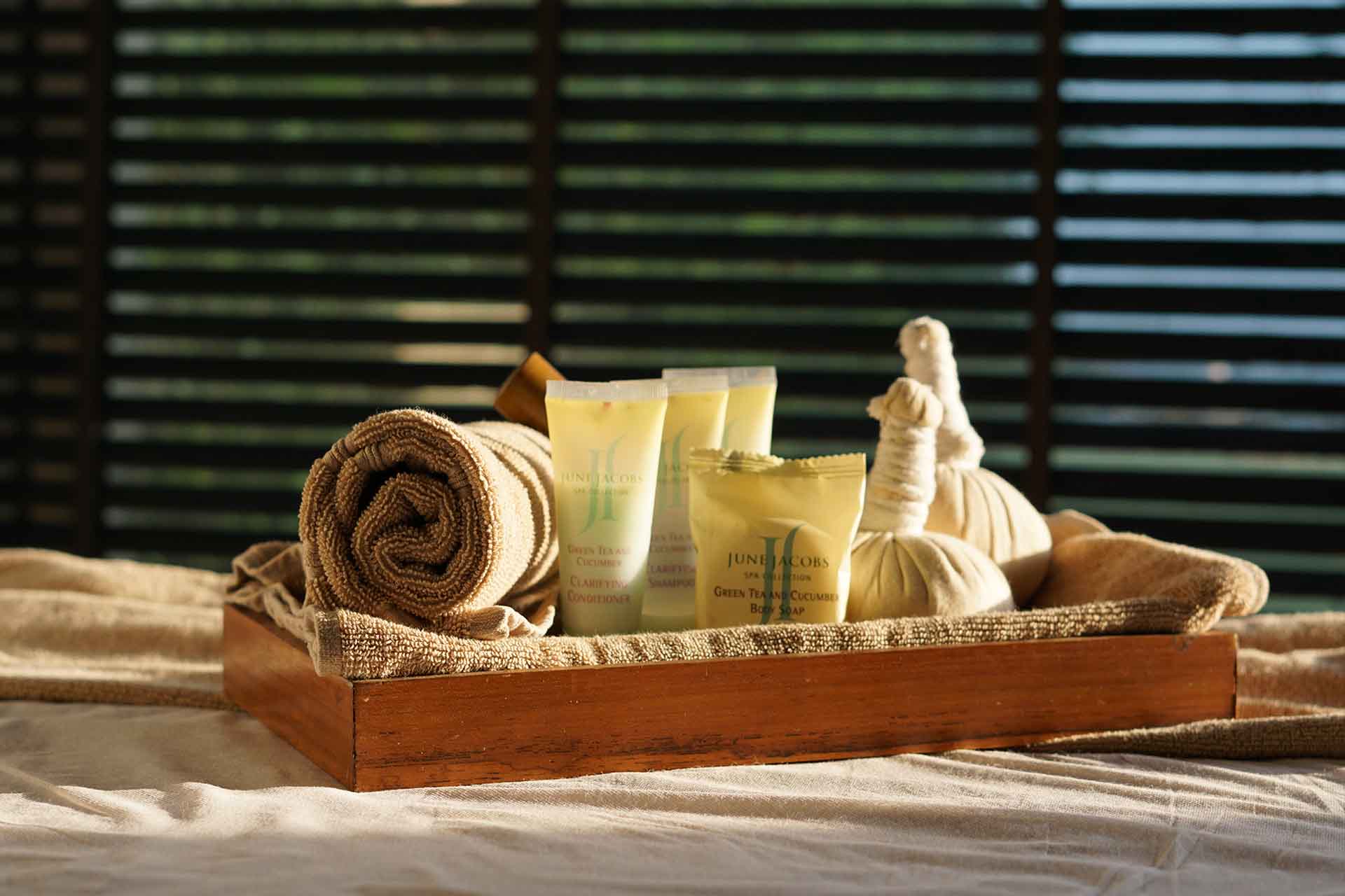 Spa Therapy